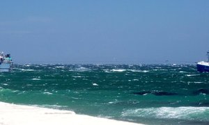 Bote staan saam in nood